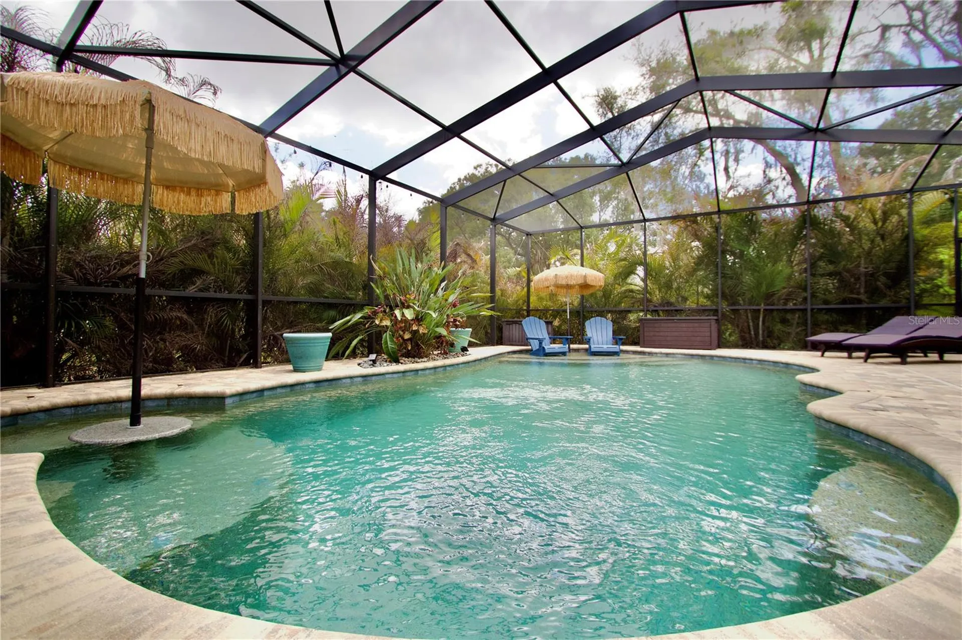 2920 Meadowood Drive New Port Richey FL 34655