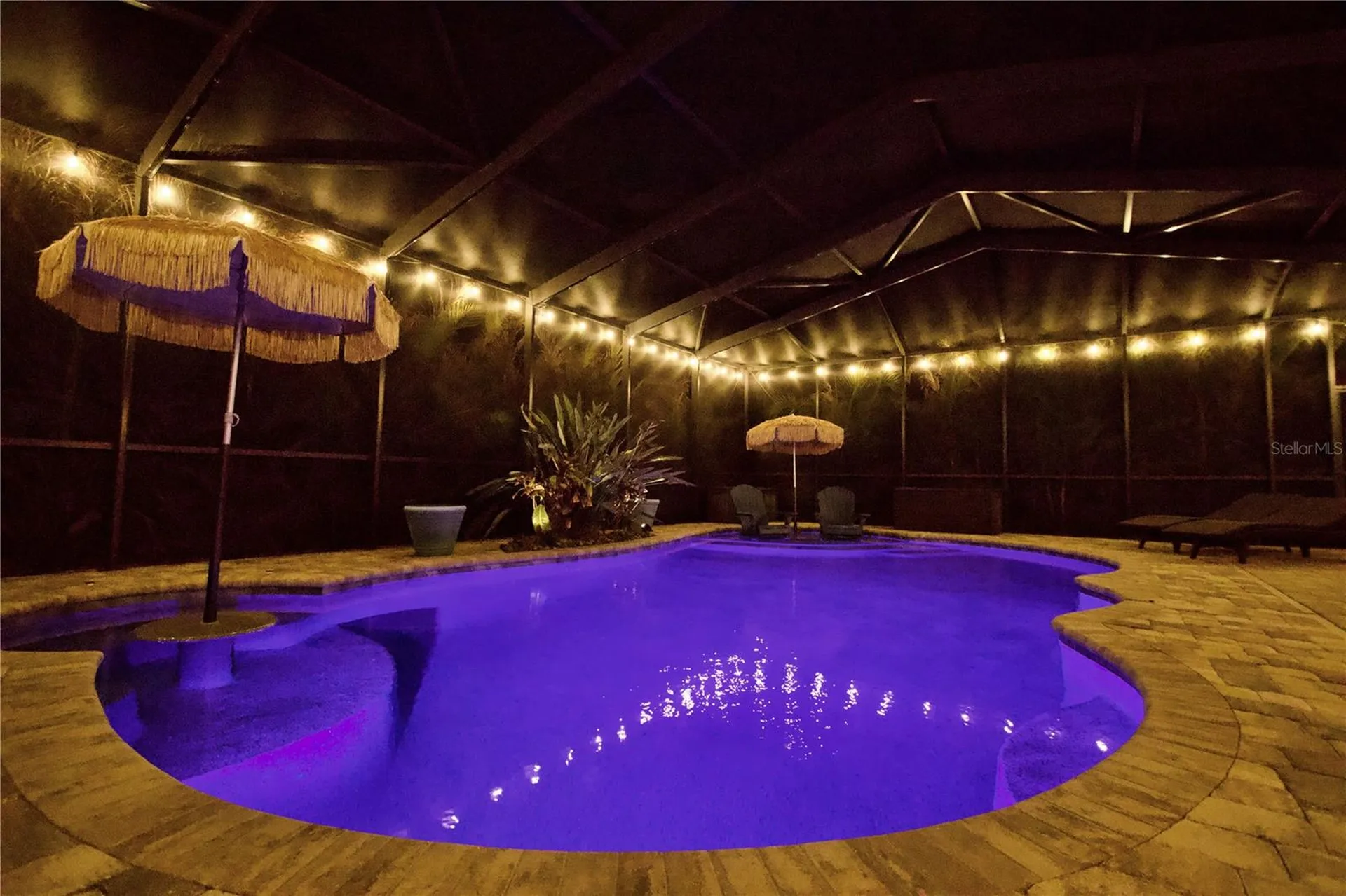 2920 Meadowood Drive New Port Richey FL 34655