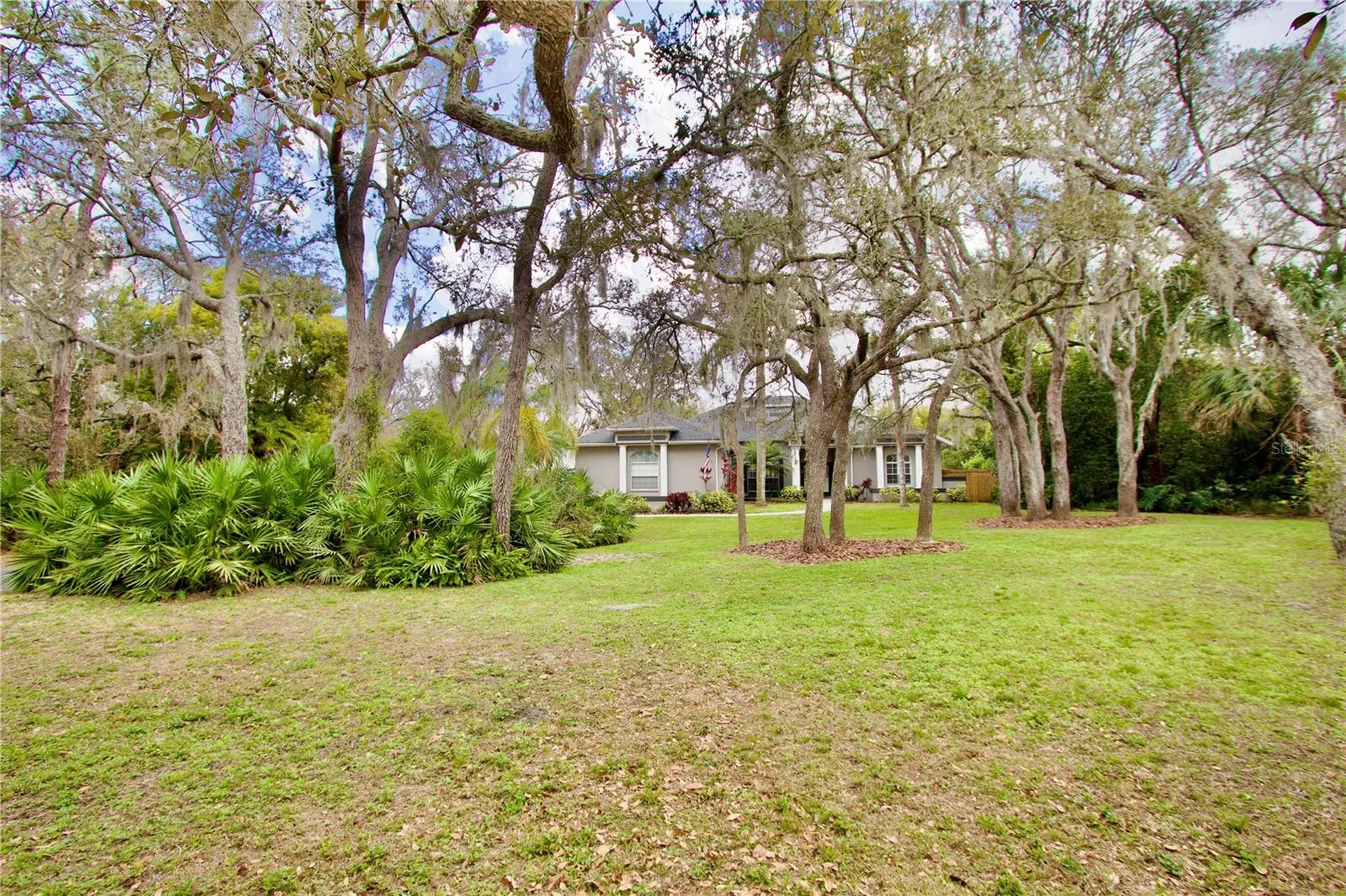 2920 Meadowood Drive New Port Richey FL 34655