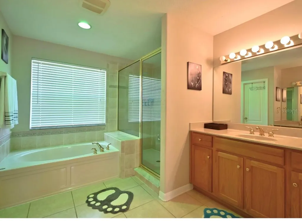 4129 Tarkington Drive Land O Lakes FL 34639