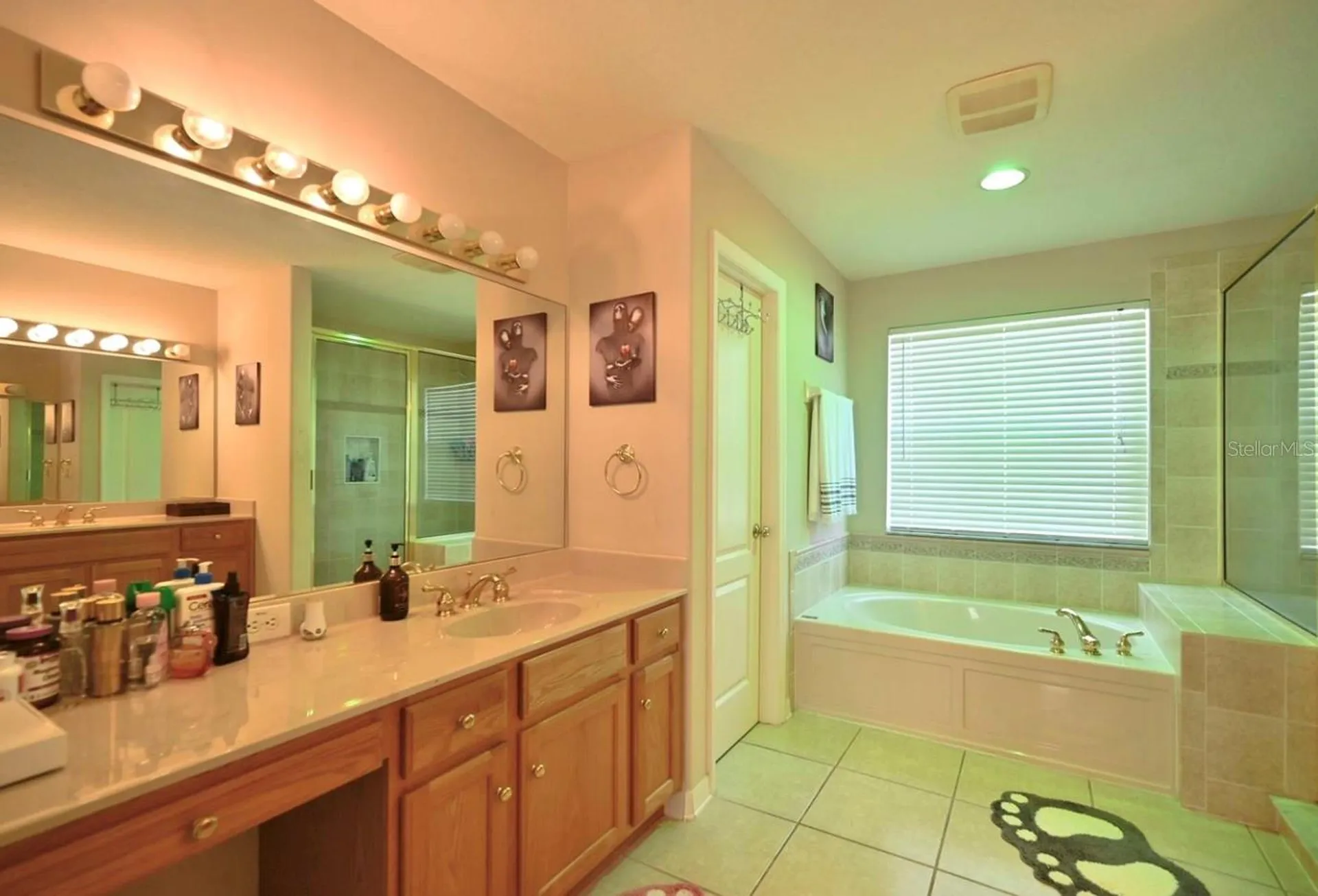 4129 Tarkington Drive Land O Lakes FL 34639