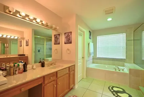 4129 Tarkington Drive Land O Lakes FL 34639