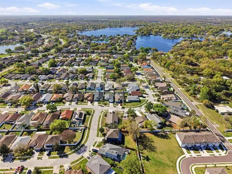 4129 Tarkington Drive Land O Lakes FL 34639