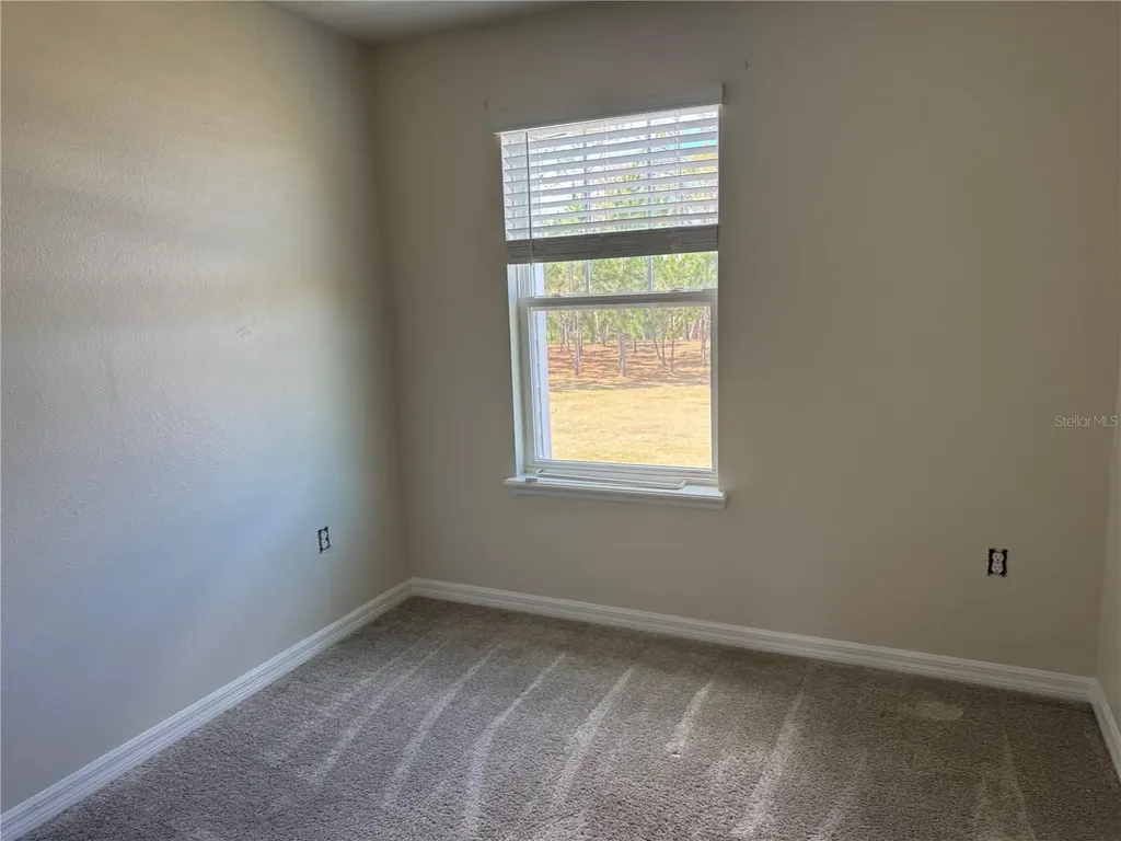 2228 Gopher Tortoise Terrace Oakland FL 34787