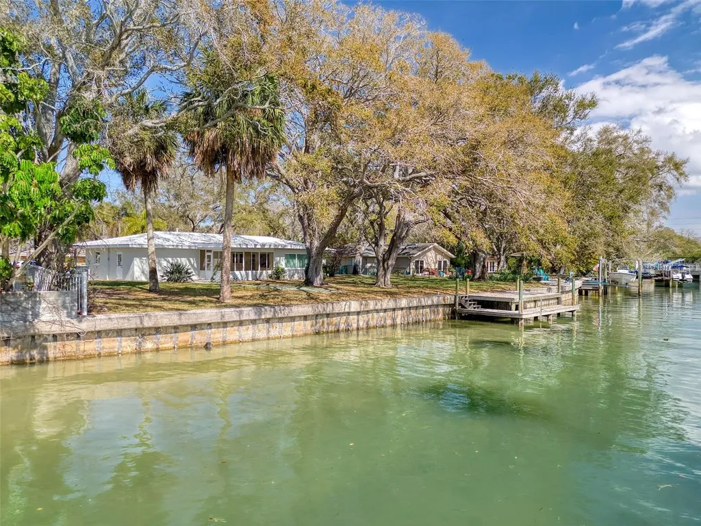 5 Shore Drive Dunedin FL 34698