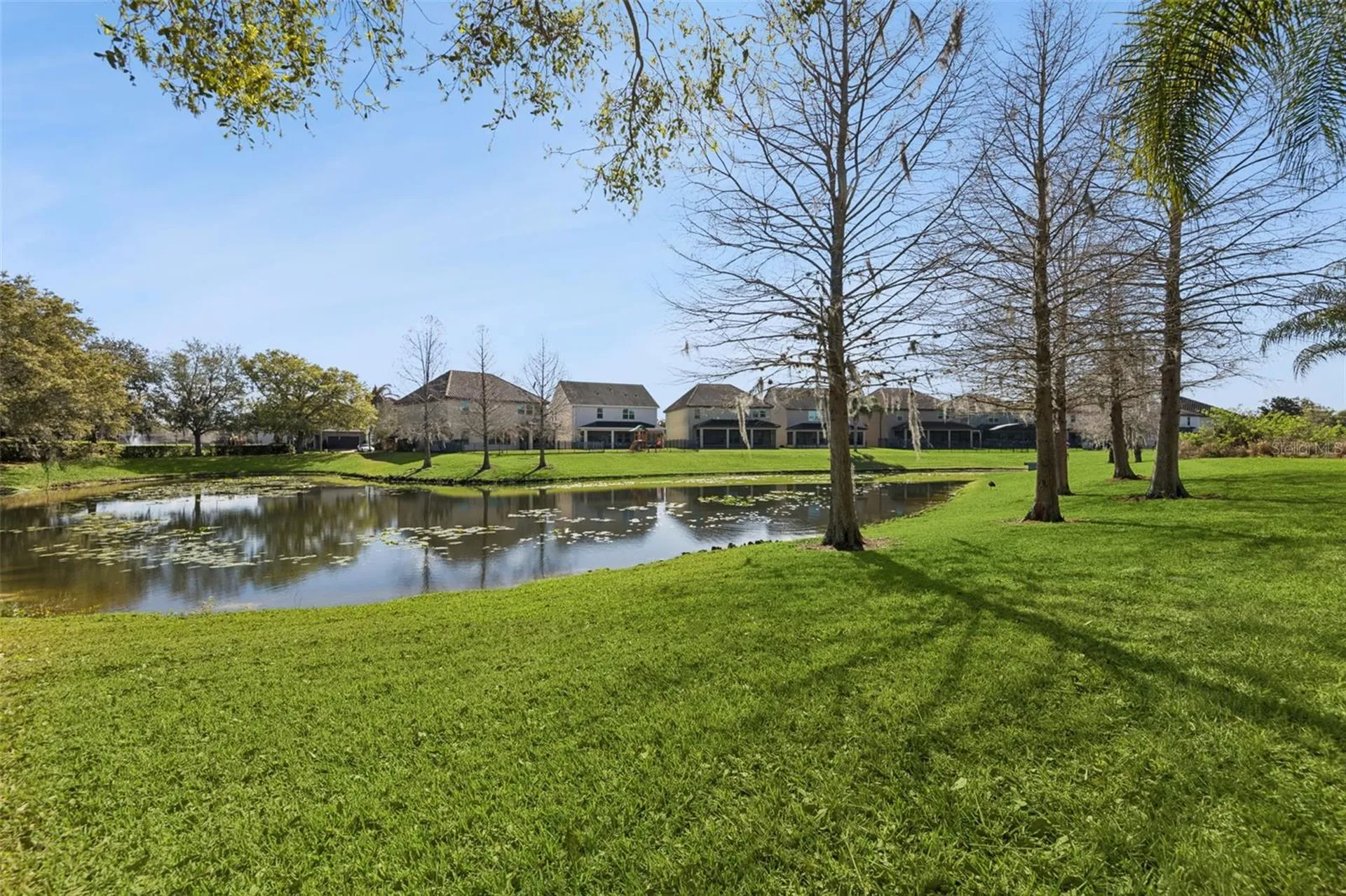 503 Minnow Creek Court Winter Garden FL 34787