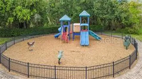 503 Minnow Creek Court Winter Garden FL 34787