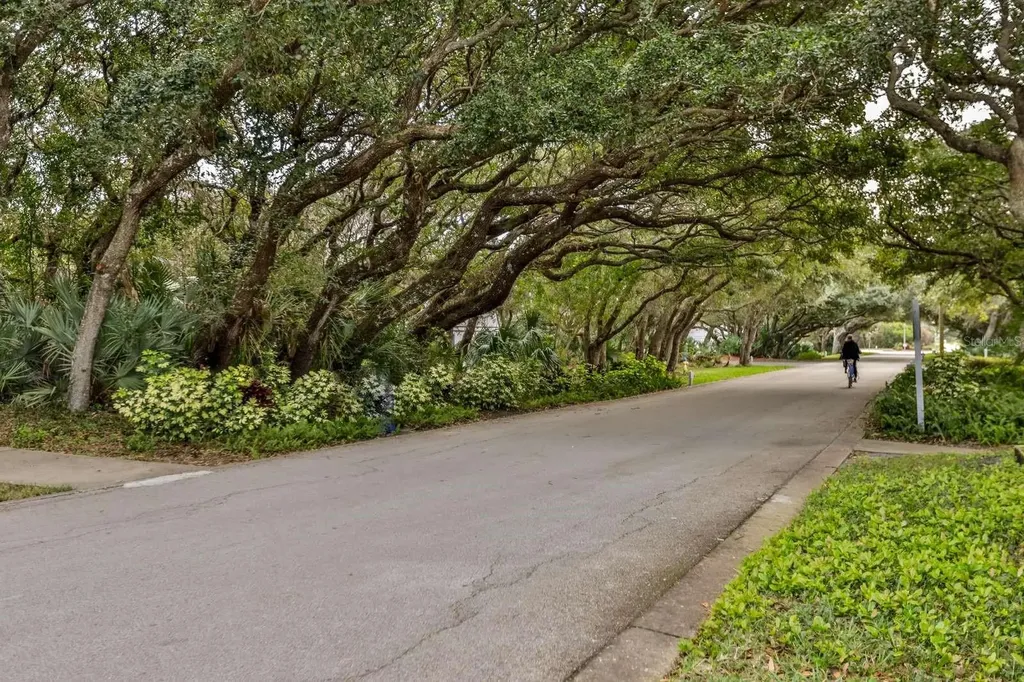4407 Sea Mist Court New Smyrna Beach FL 32169