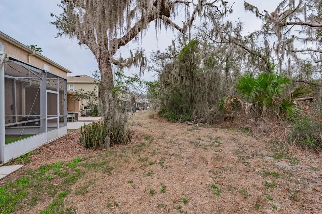 15856 Fishhawk View Drive Lithia FL 33547