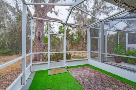 15856 Fishhawk View Drive Lithia FL 33547