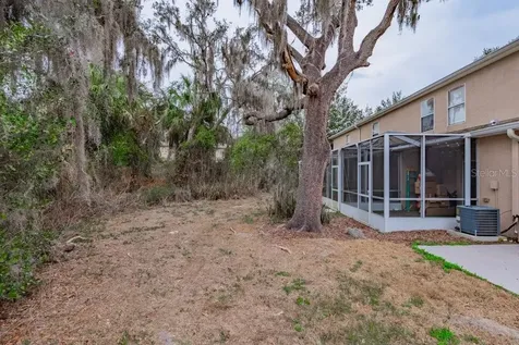 15856 Fishhawk View Drive Lithia FL 33547