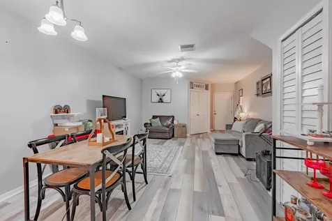 15856 Fishhawk View Drive Lithia FL 33547
