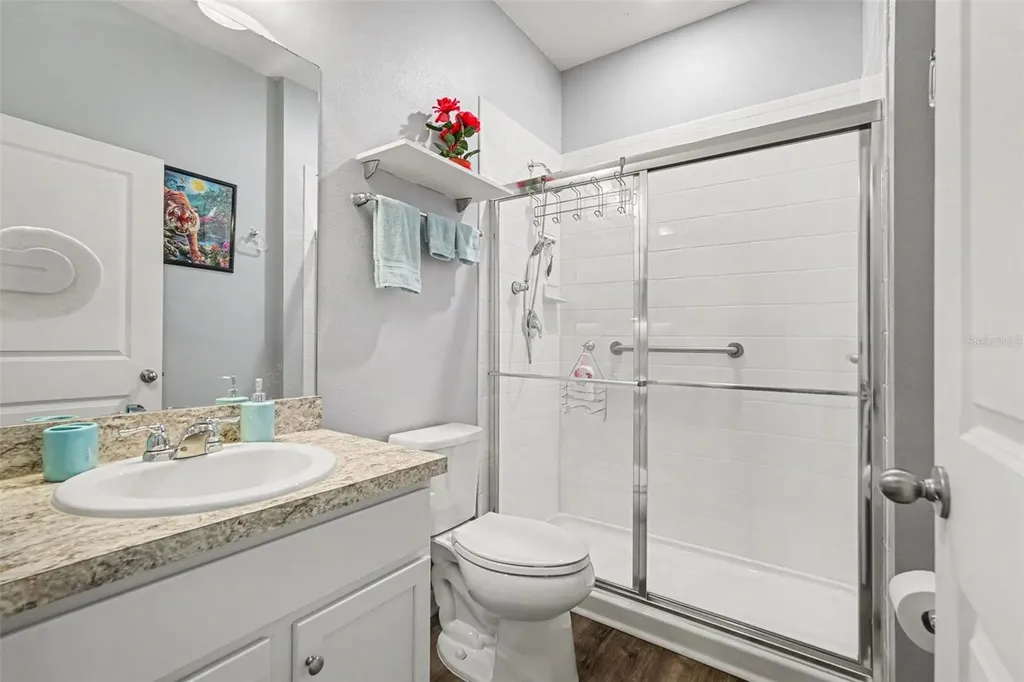 10617 Aldo Moro Drive Wimauma FL 33598