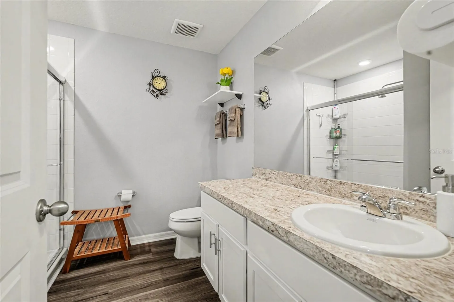 10617 Aldo Moro Drive Wimauma FL 33598
