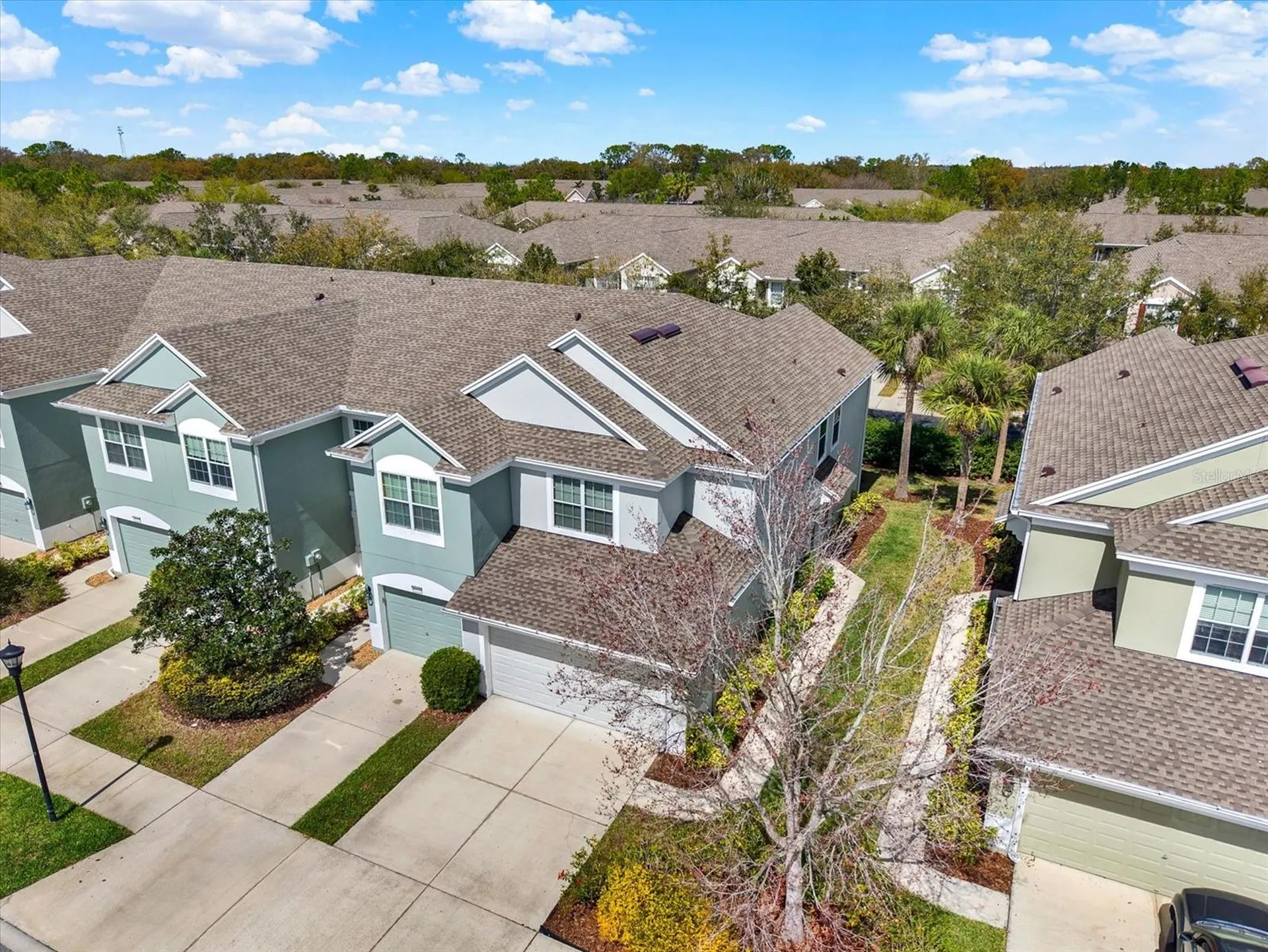 10228 Red Currant Court Riverview FL 33578