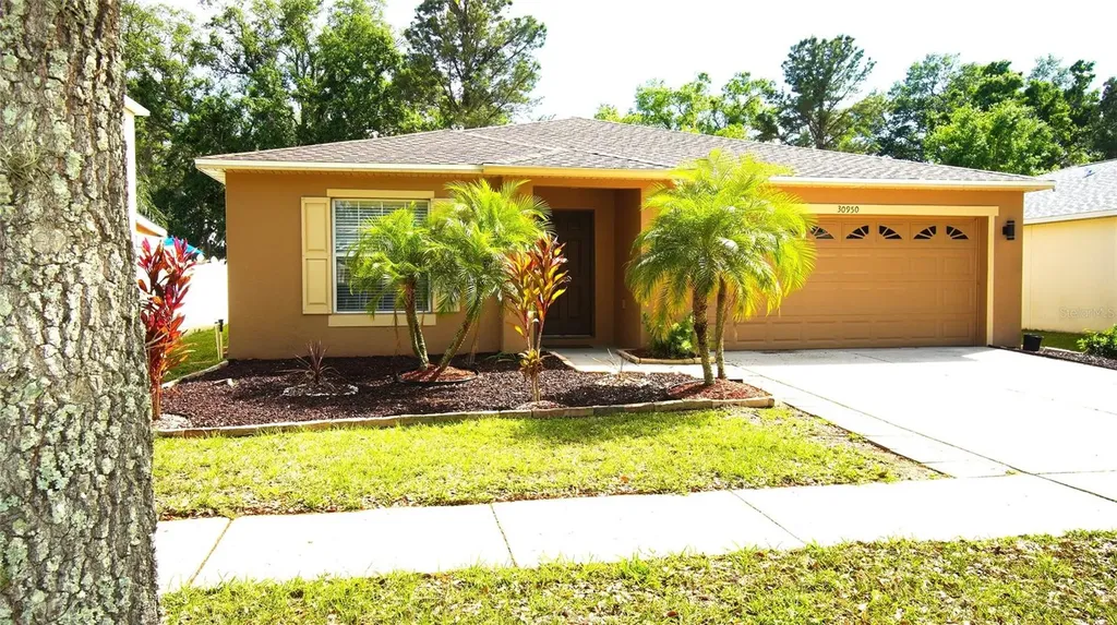30950 Mandolin Cay Avenue Wesley Chapel FL 33543