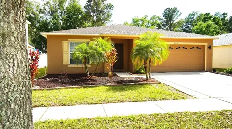 30950 Mandolin Cay Avenue Wesley Chapel FL 33543