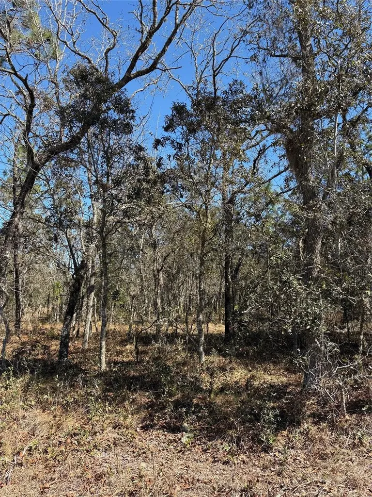 Tba SE 134th Terrace Dunnellon FL 34431