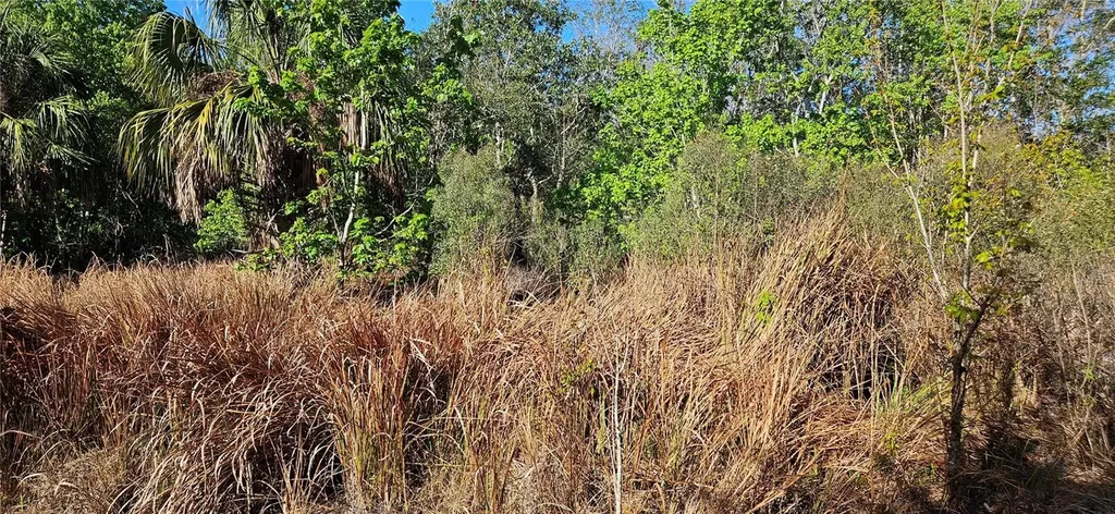 Lake Wales FL 33898