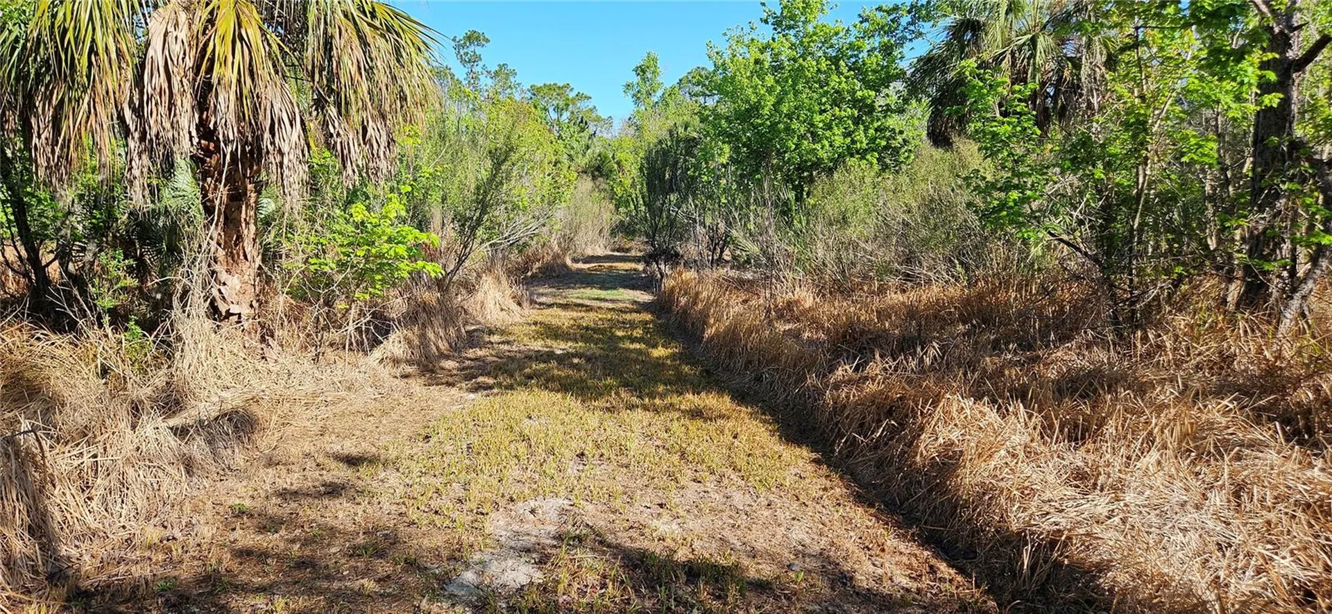 Lake Wales FL 33898