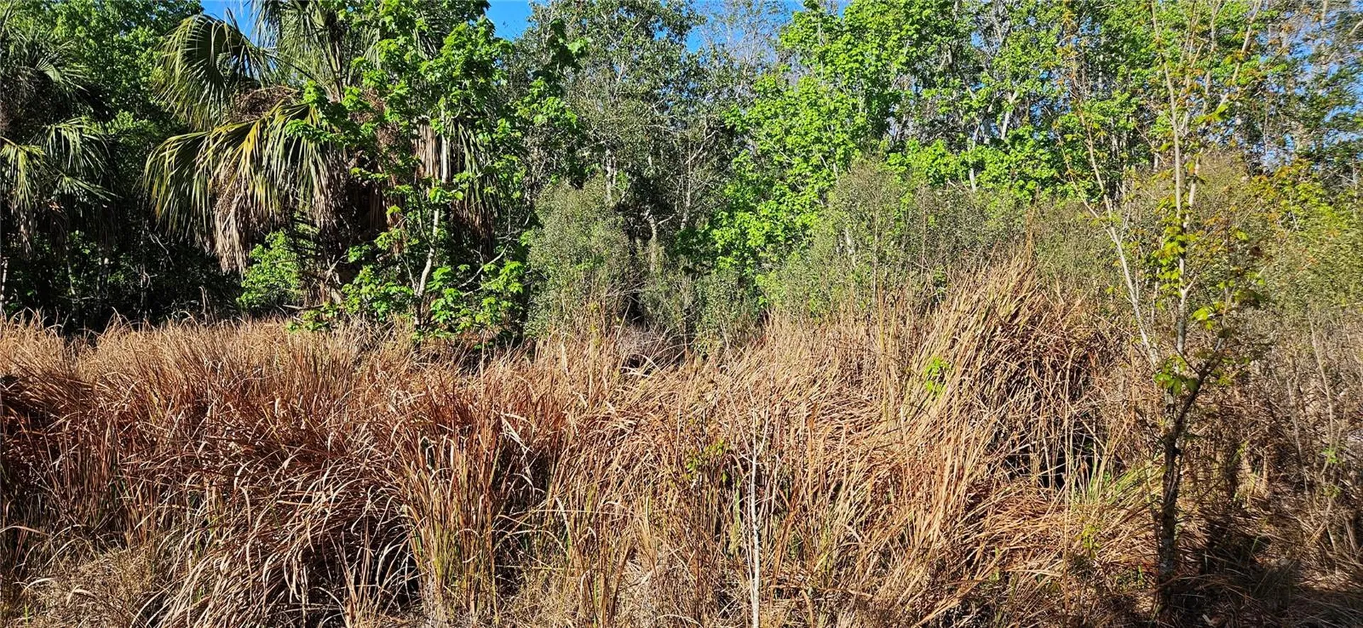 Lake Wales FL 33898