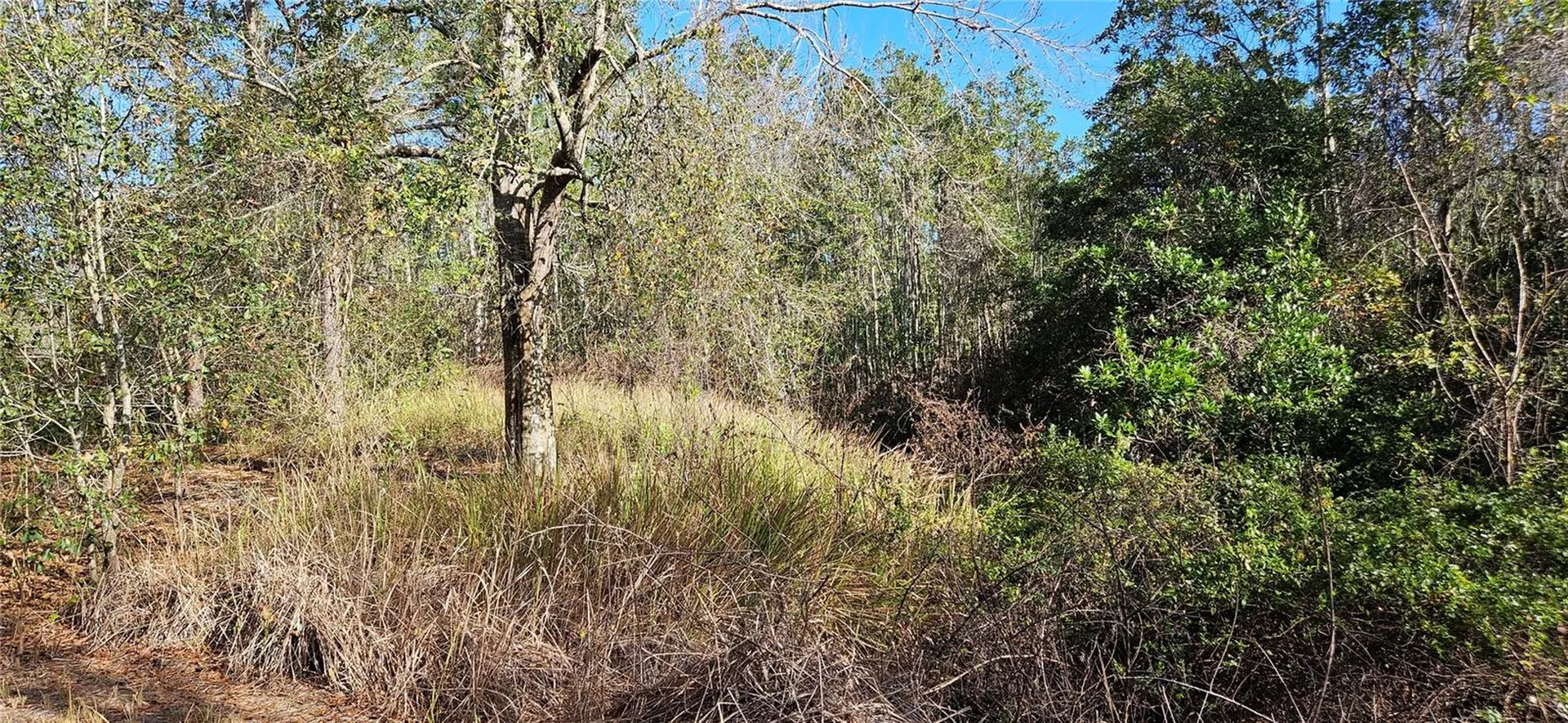 Lake Wales FL 33898