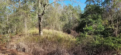 Lake Wales FL 33898
