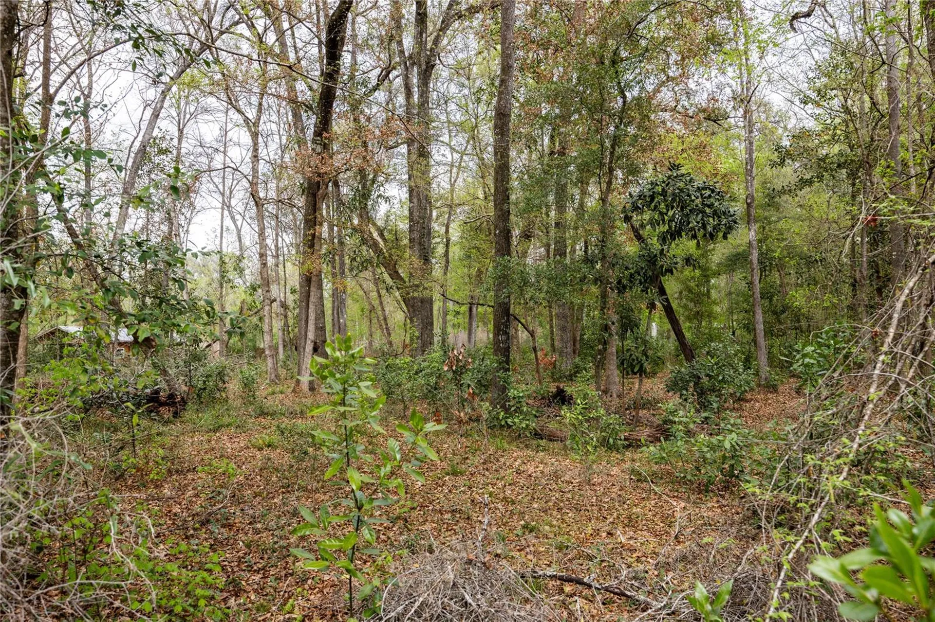 Lot 45 SW Boston Terrace Fort White FL 32038