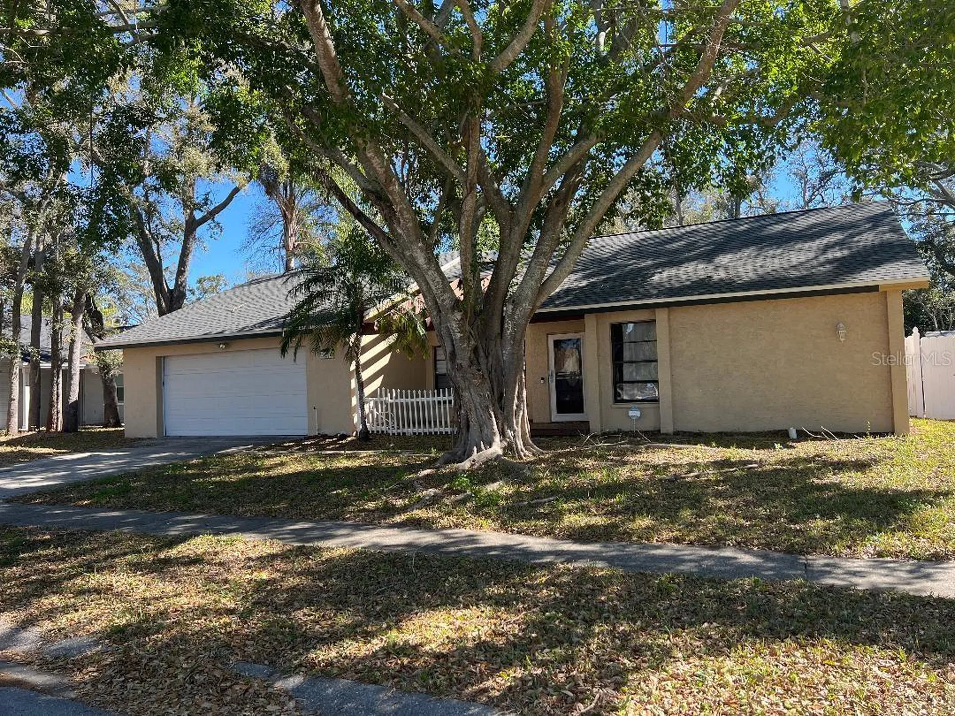 200 Arbor Drive W Palm Harbor FL 34683