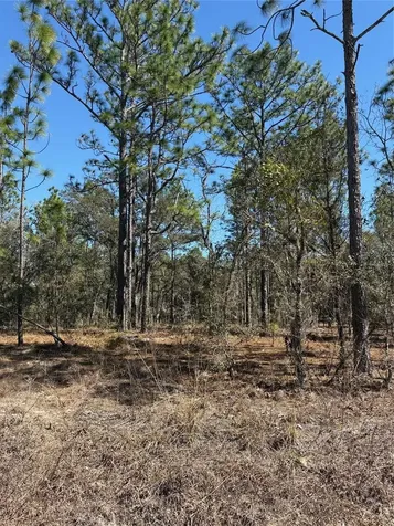 Tba SE 135th Court Dunnellon FL 34431