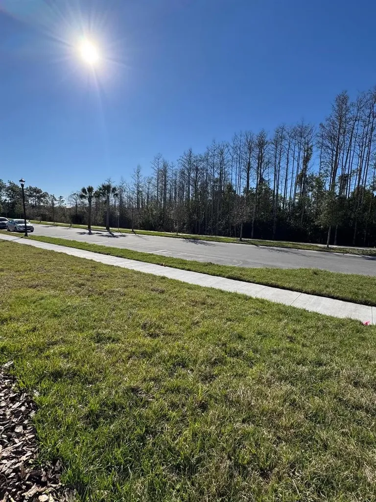 4552 Burrowing Owl Loop St Cloud FL 34772