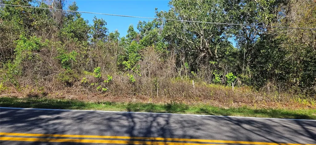 Timberlane Road Lake Wales FL 33898