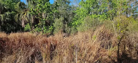 Timberlane Road Lake Wales FL 33898