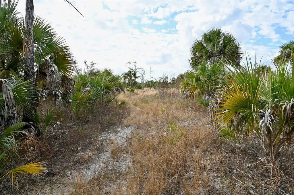 Black Burn Road Naples FL 34117