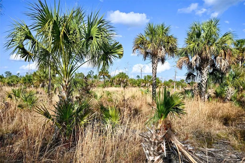 Black Burn Road Naples FL 34117