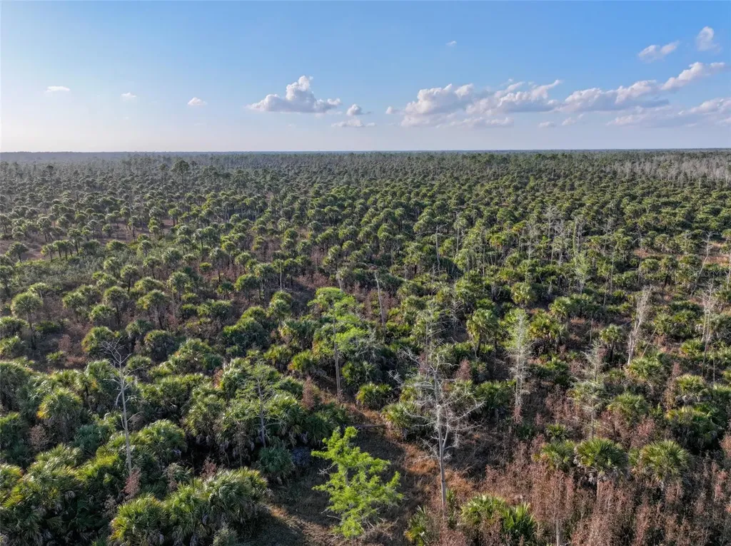Black Burn Road Naples FL 34117