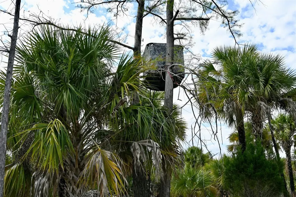 Black Burn Road Naples FL 34117