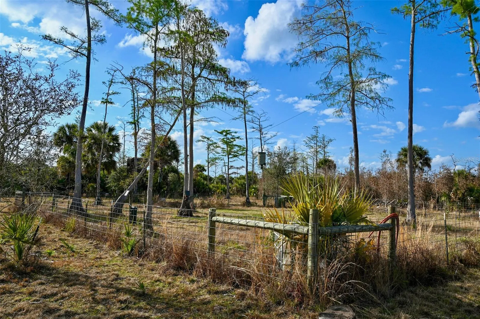 Black Burn Road Naples FL 34117