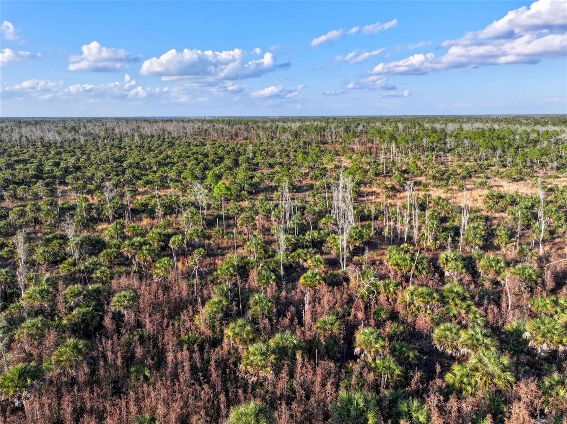 Black Burn Road Naples FL 34117