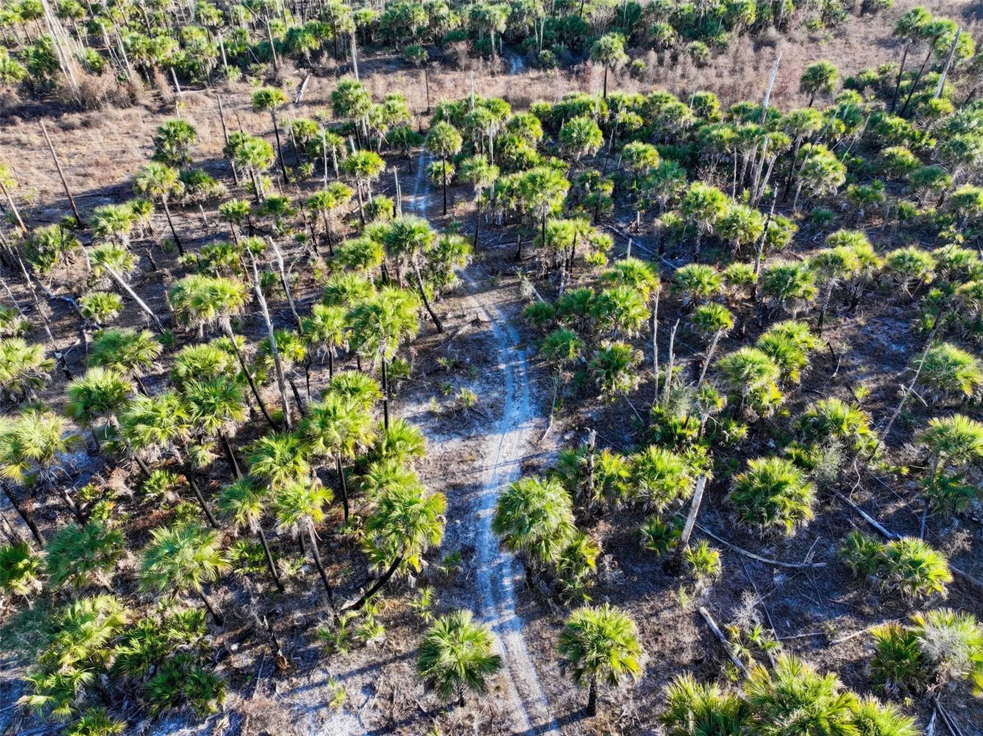 Black Burn Road Naples FL 34117