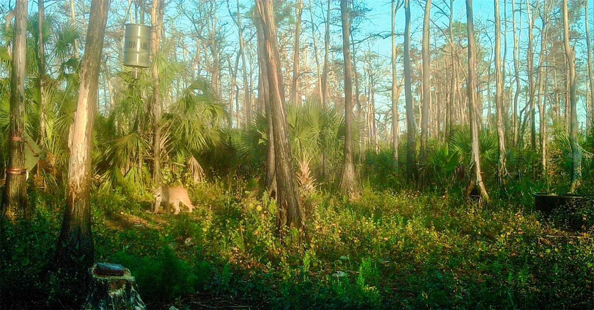Black Burn Road Naples FL 34117