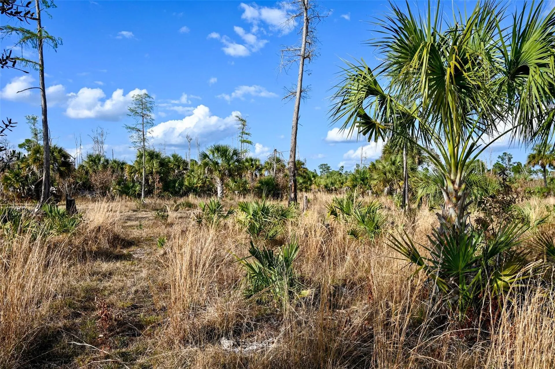 Black Burn Road Naples FL 34117