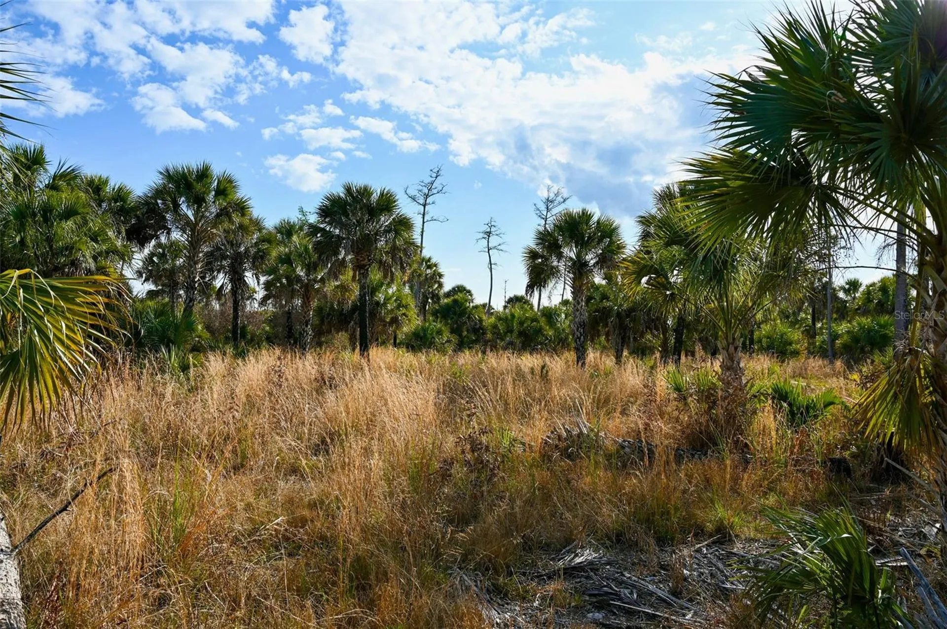 Black Burn Road Naples FL 34117