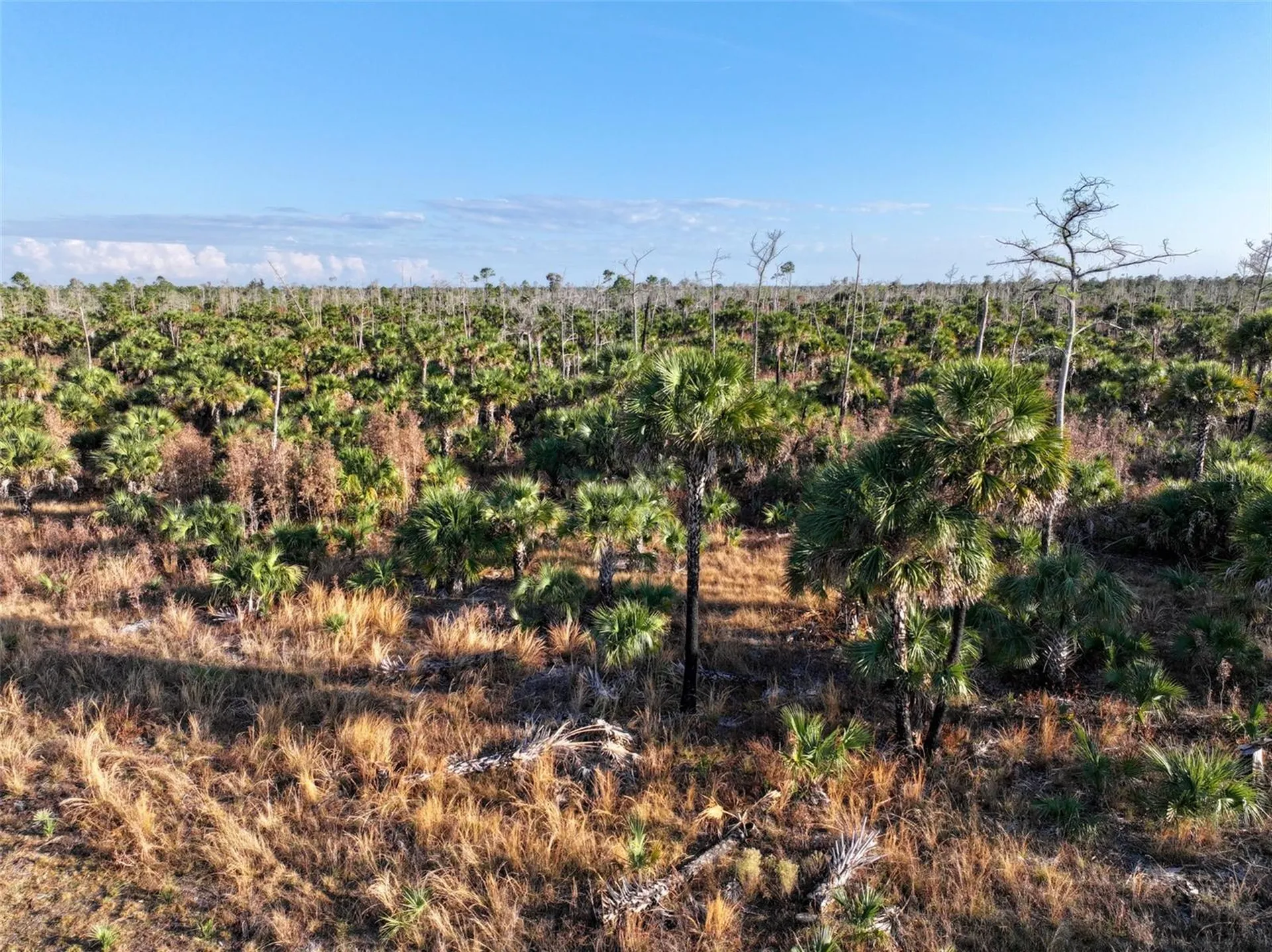 Black Burn Road Naples FL 34117