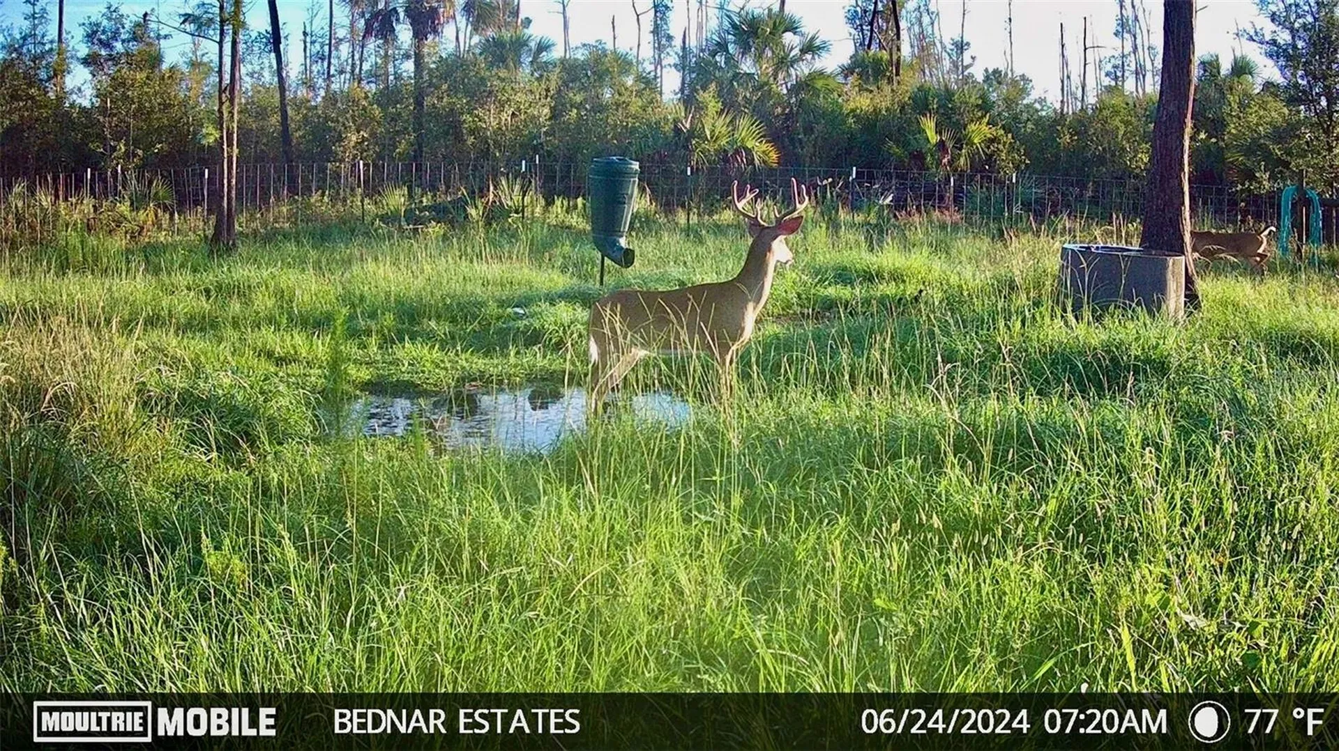 Black Burn Road Naples FL 34117