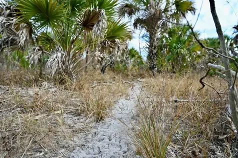 Black Burn Road Naples FL 34117