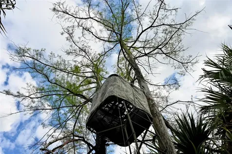 Black Burn Road Naples FL 34117