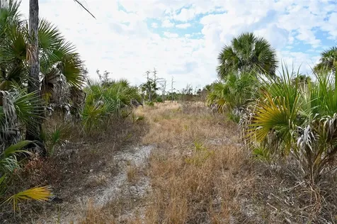 Black Burn Road Naples FL 34117