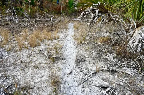 Black Burn Road Naples FL 34117