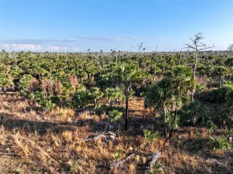 Black Burn Road Naples FL 34117